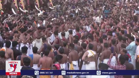 Ấn tượng diễu hành voi tại lễ hội Hindu Ấn Độ