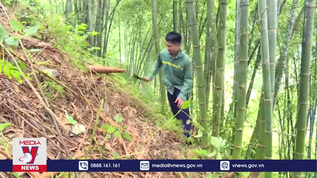 Hiệu quả từ chi trả dịch vụ môi trường rừng ở Thanh Hóa