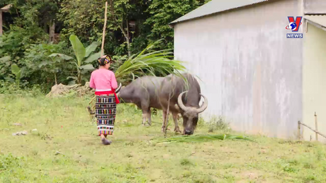 Tín dụng cho người nghèo số 6 ngày 20/4/2024