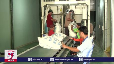 Miễn thuế 9 loại gạo Việt xuất châu Âu