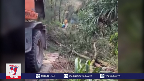  Quảng Ninh: Cứu hộ thành công 10 ngư dân gặp nạn trên biển do giông lốc