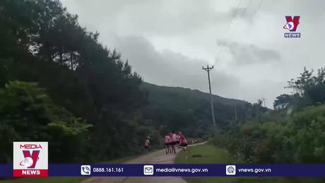 Khám phá Biển đảo nơi địa đầu Đông Bắc 