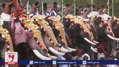 Màn rước voi độc đáo trong lễ hội của người Hindu ở Ấn Độ