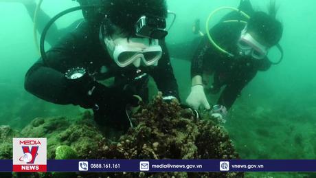 Vì một hành tinh không ô nhiễm trắng