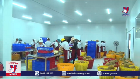 Gỡ khó cho HTX tiếp cận vốn 