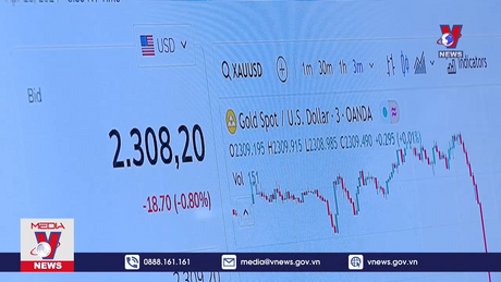 Phiên đấu thầu vàng đầu tiên sau 11 năm 