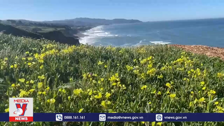 California (Mỹ) đón mùa 