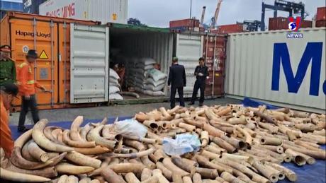 Đường dây nóng 389 ngày 23/4/2024