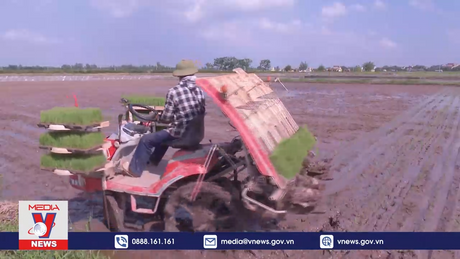 Hà Nam đẩy mạnh cơ giới hóa trong sản xuất lúa