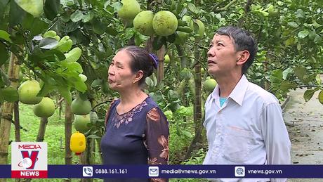 Rất ít hợp tác xã tiếp cận được vốn tín dụng