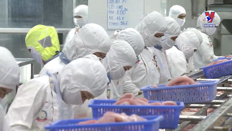 越通社新闻 - Bản tin tiếng Trung ngày 24/4/2024
