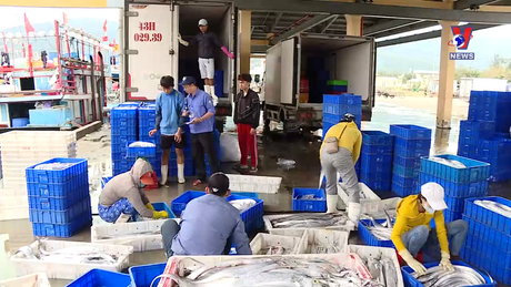 VNA News - Bản tin tiếng Anh ngày 24/4/2024