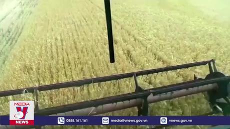 EU gia hạn miễn thuế nhập khẩu nông sản Ukraine