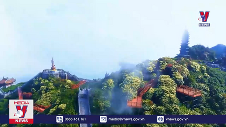 Vẻ đẹp hoa đỗ quyên trên đình Fansipan