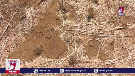 Hạn hán có xu hướng lan rộng ở Trung Bộ 