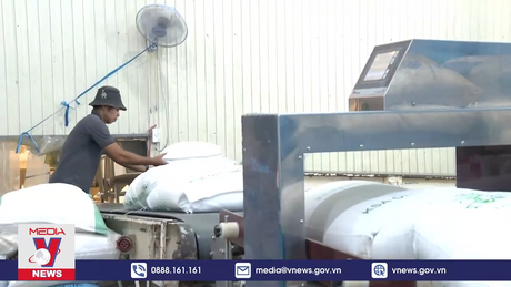 Xuất khẩu gạo năm 2024 dự báo vượt kế hoạch