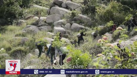 Công nghệ từ trái tim: Trợ thủ công nghệ cùng trồng rừng giữ nước