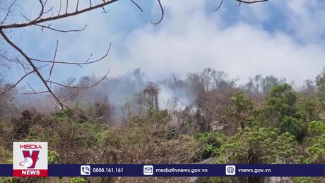 Đã khống chế được hai vụ cháy rừng tại huyện Tri Tôn, An Giang