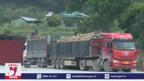 Thông quan hàng hóa tại Lạng Sơn trong dịp nghỉ lễ