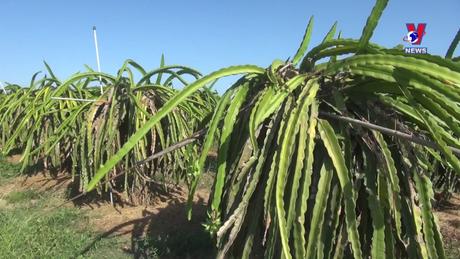 VNA News - Bản tin tiếng Anh ngày 27/4/2024