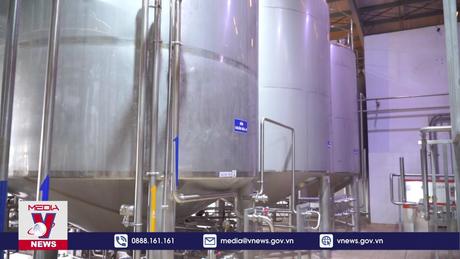 Doanh nghiệp Việt vững bước trên hành trình đến net zero