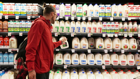 Phát hiện dấu vết virus cúm gia cầm trong khoảng 20% mẫu sữa thương mại tại Mỹ