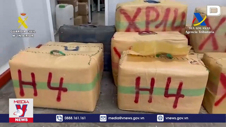 Tây Ban Nha thu giữ lượng cần sa kỷ lục