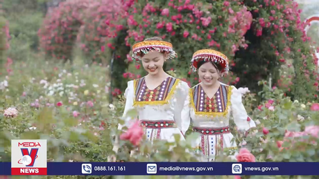 Lễ hội Hoa hồng Fansipan 2024