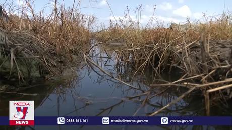 Hậu Giang cảnh báo bước vào cao điểm hạn hán