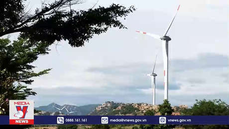 Thủ tướng dự Hội nghị công bố Quy hoạch tỉnh Ninh Thuận