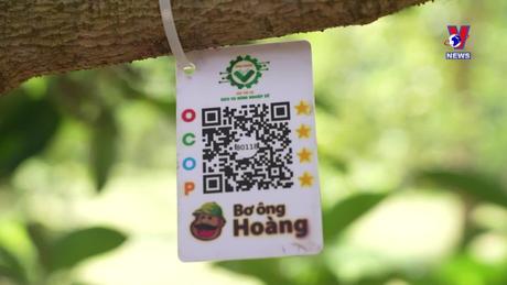 Nhật trình kinh tế ngày 29/4/2024