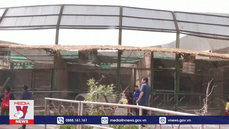 Vườn thú Ấn Độ “giải nhiệt” cho động vật