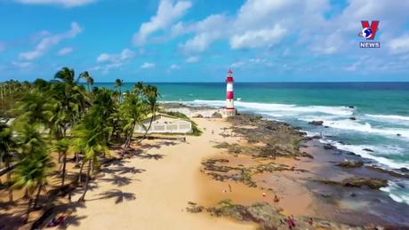 Việt Nam với bạn bè quốc tế: Quan hệ Việt Nam - Brazil