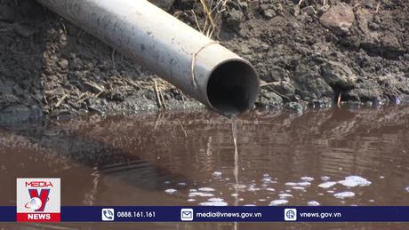 Người dân kêu cứu trước ô nhiễm từ trang trại heo quy mô lớn