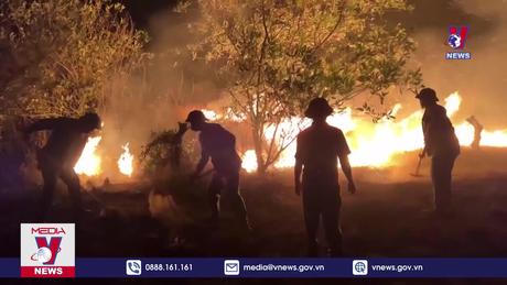 Quảng Bình liên tiếp xảy ra cháy rừng do thời tiết nắng nóng 