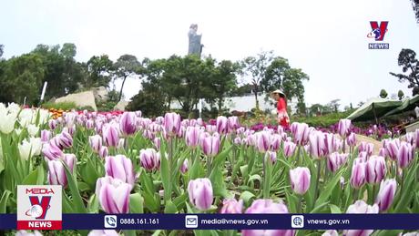 Núi Bà Đen Tây Ninh thu hút trên 3 triệu lượt du khách 