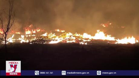 Quảng Bình tăng cường công tác phòng chống cháy rừng