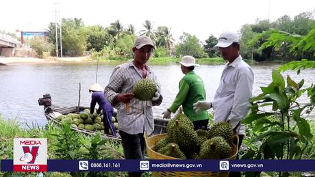 Rau quả có thể lập kỷ lục xuất khẩu 6 tỷ đô