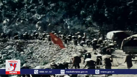 Biểu tượng của phong trào giải phóng dân tộc trên thế giới