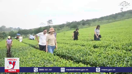 Tuyên Quang đón gần 154.000 lượt khách du lịch dịp nghỉ lễ