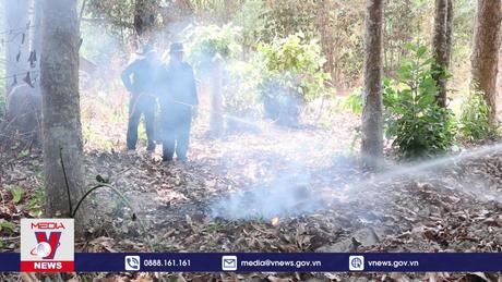 Cần có chính sách phù hợp để lực lượng bảo vệ rừng bám rừng