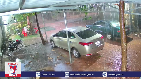 Bình Phước xuất hiện 