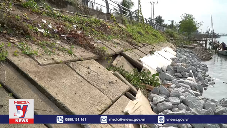 Sụt lún kè chống xói lở bờ sông Tiền trị giá gần 40 tỷ đồng