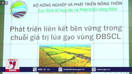 Phát huy vai trò của thương lái trong chuỗi lúa gạo 