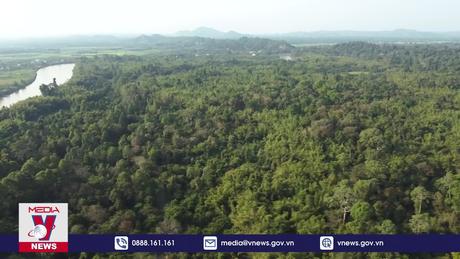 Thủ tướng yêu cầu hoàn thiện Đề án phát triển thị trường các-bon