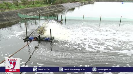 Nam Định hướng tới khai thác thủy sản bền vững