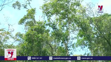 Bản tin Thời sự 13h ngày 3/5/2024