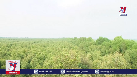 Tăng cường quản lý thị trường tín chỉ carbon 