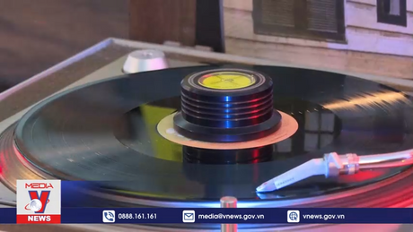 Đĩa than trở lại Brazil