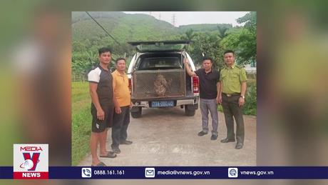 Người dân giao nộp mèo rừng và khỉ mốc quý hiếm